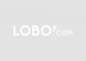 LoBof Lookbook of Furniture Designer furniture brands web design logo